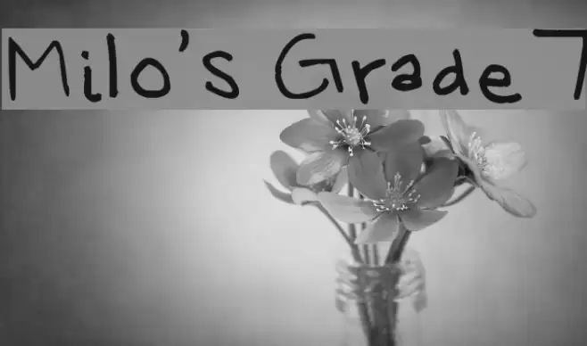 Milo's Grade 7 Font examples