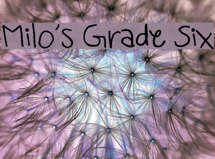 Milo's Grade Six Шрифта examples