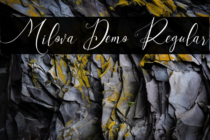 Milova Demo Regular Example 2