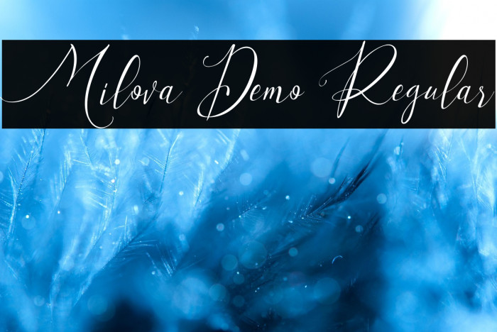 Milova Demo Regular Example 3