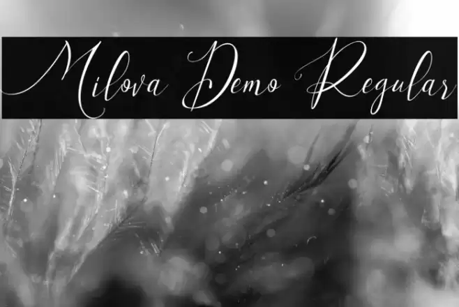Milova Demo Regular Font examples