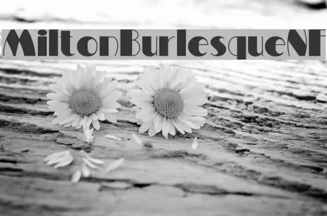 MiltonBurlesqueNF Example 3