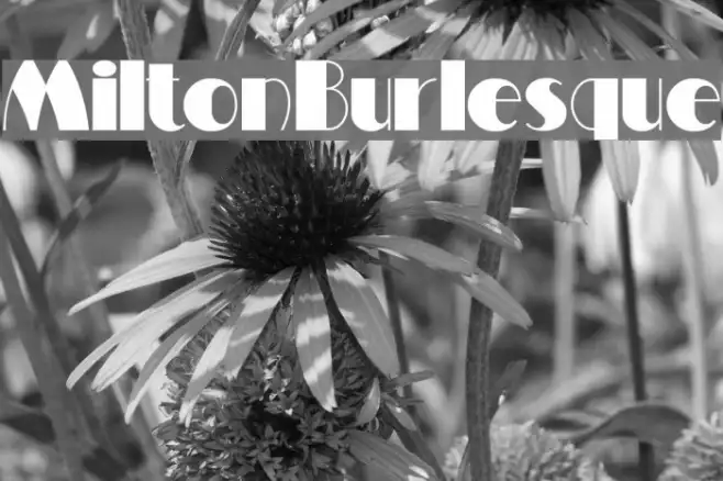 MiltonBurlesque Example 3