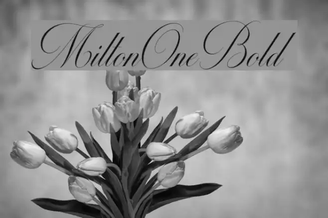 MiltonOneBold Font examples