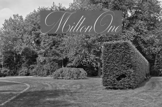 MiltonOne Font examples