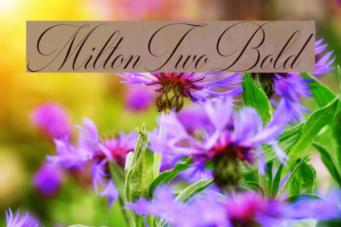MiltonTwoBold Example 3