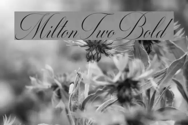 MiltonTwoBold Font examples