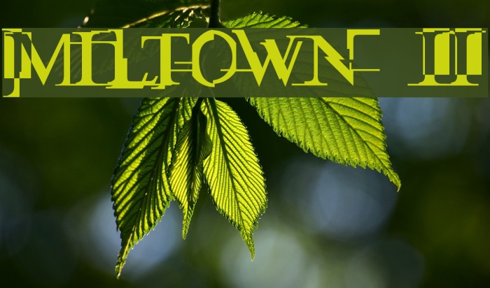 Miltown II フォント examples
