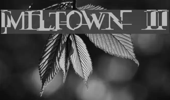 Miltown II Schriftart examples