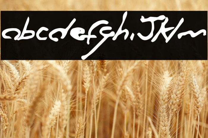 Milwaukee Cannibal Example 1