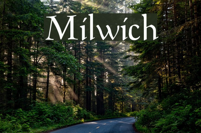 Milwich Font examples
