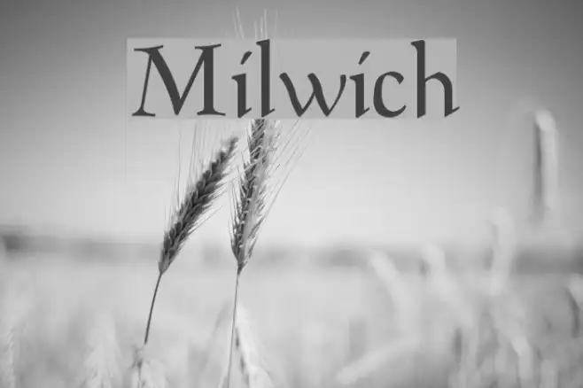 Milwich Example 3