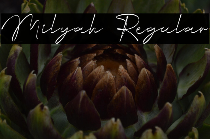 Milyah Regular Example 3