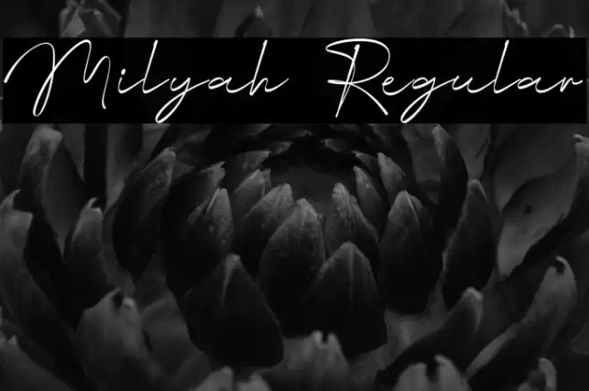 Milyah Regular Caratteri examples