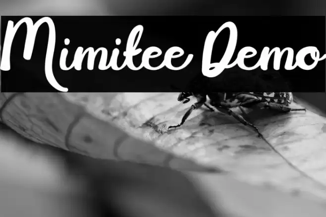 Mimitee Demo Font examples
