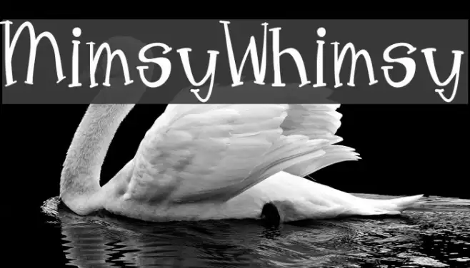 MimsyWhimsy Example 1