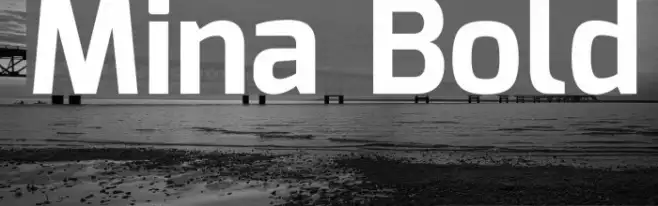 Mina Bold Example 1