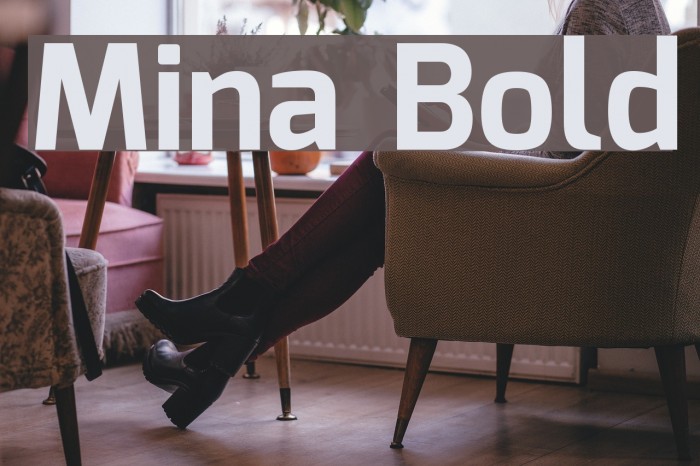 Mina Bold Font examples