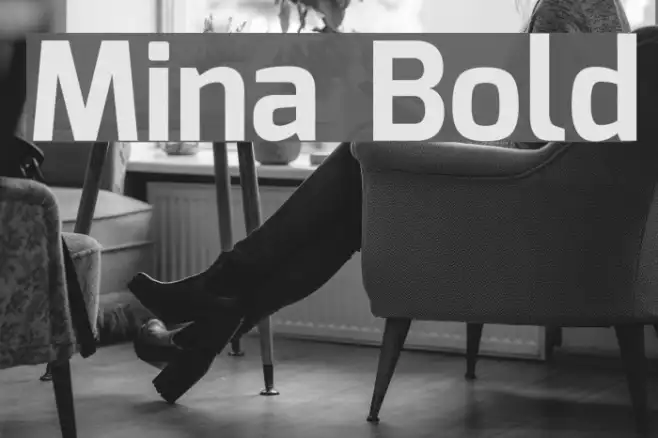 Mina Bold Example 2