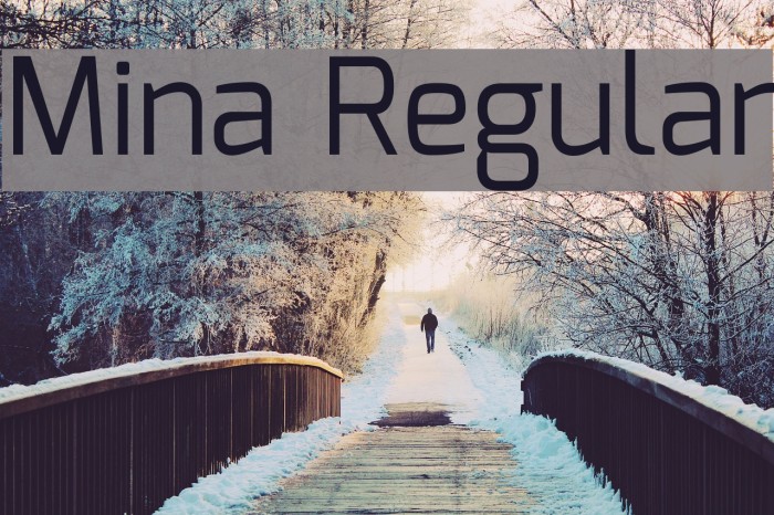 Mina Regular Font examples