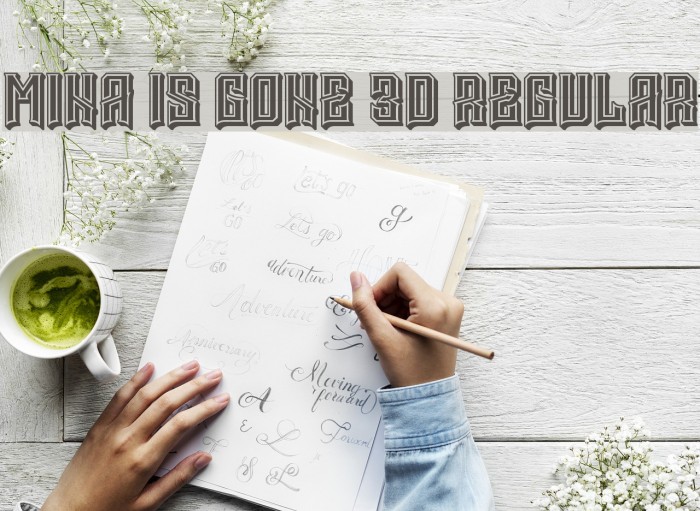 Mina is gone 3D Regular Example 2