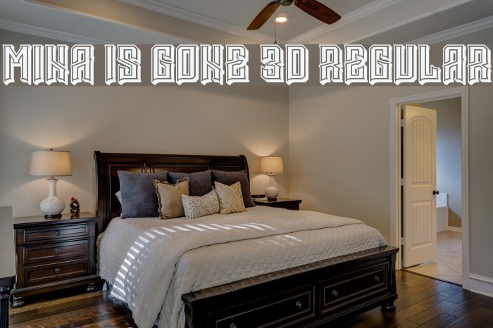 Mina is gone 3D Regular Example 3