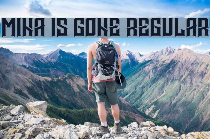 Mina is gone Regular Example 1