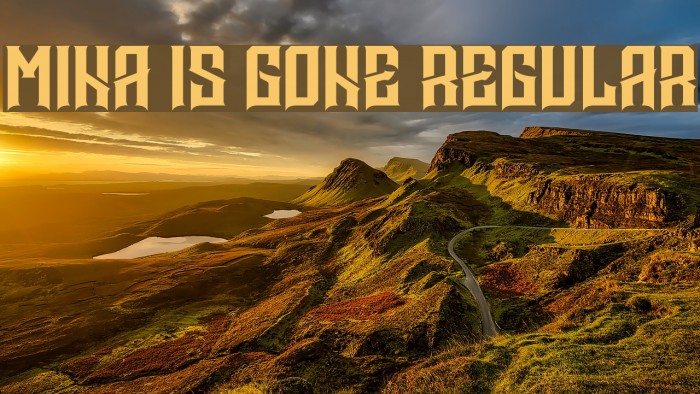 Mina is gone Regular Example 3