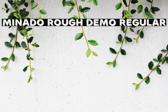 Minado Rough Demo Regular Example 1