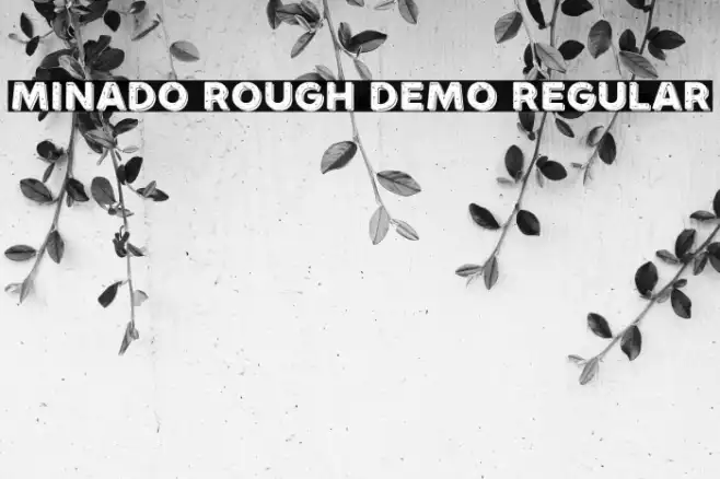 Minado Rough Demo Regular Example 1