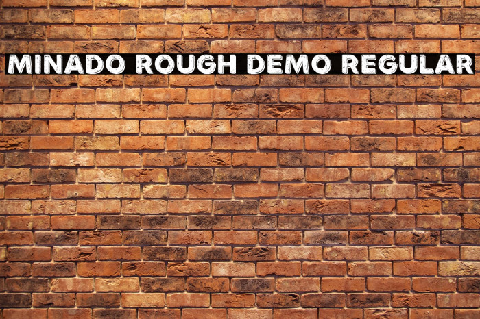 Minado Rough Demo Regular Example 2