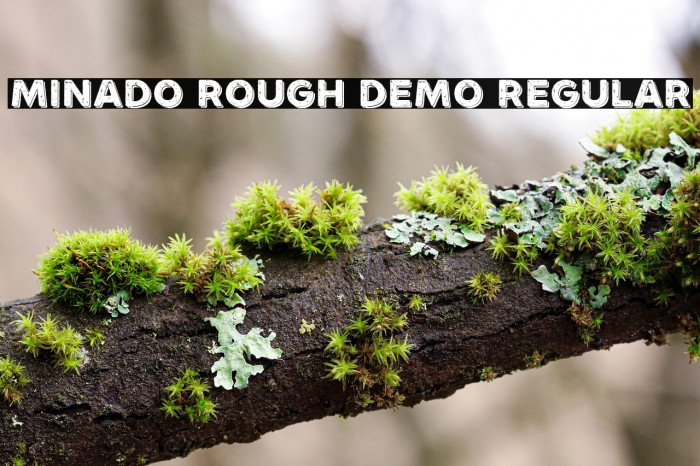 Minado Rough Demo Regular Example 3