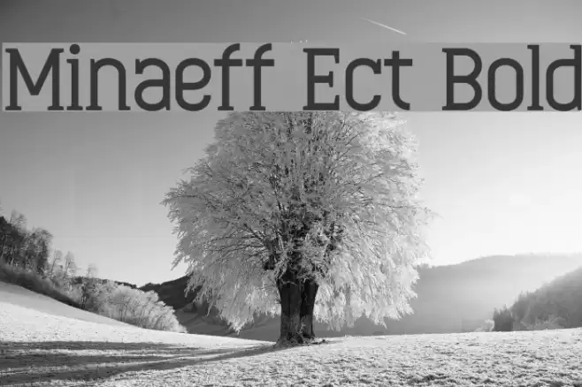 Minaeff Ect Bold Font examples