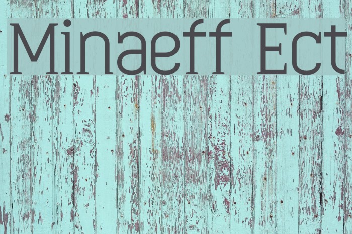 Minaeff Ect Font examples