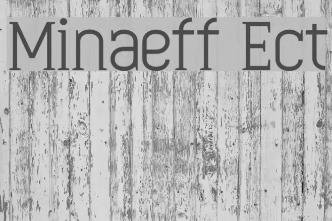 Minaeff Ect Example 1