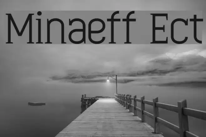Minaeff Ect Example 2