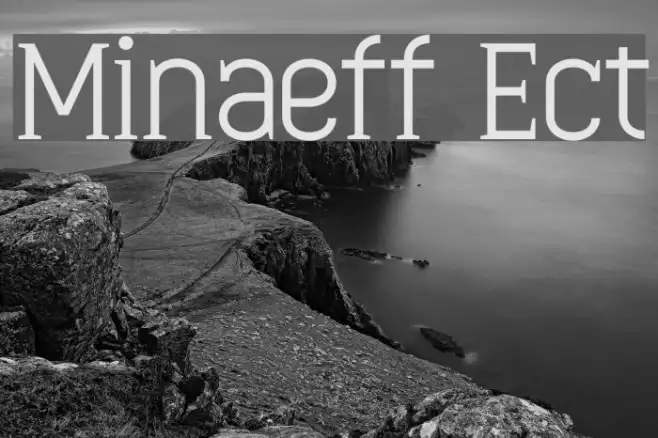 Minaeff Ect Example 3