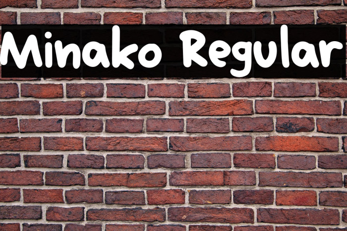 Minako Regular Example 1