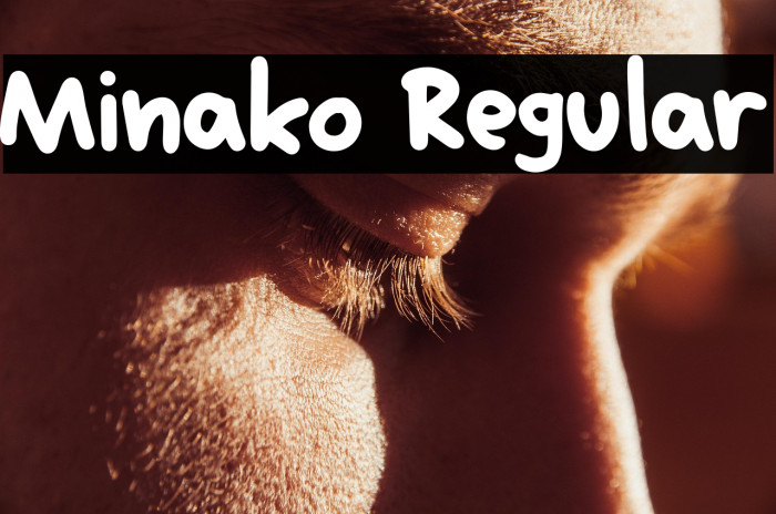 Minako Regular Example 2