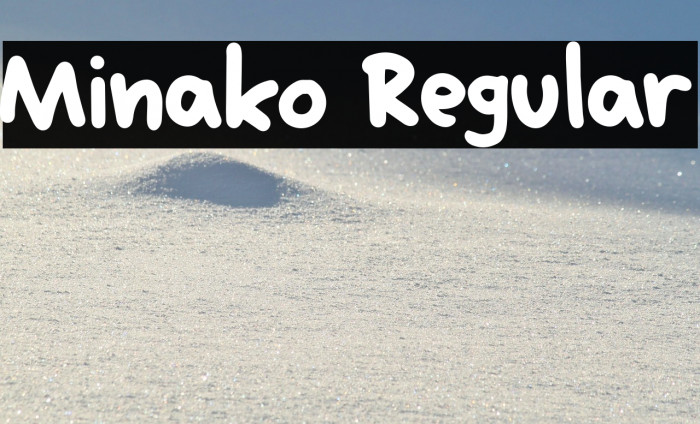 Minako Regular Example 3