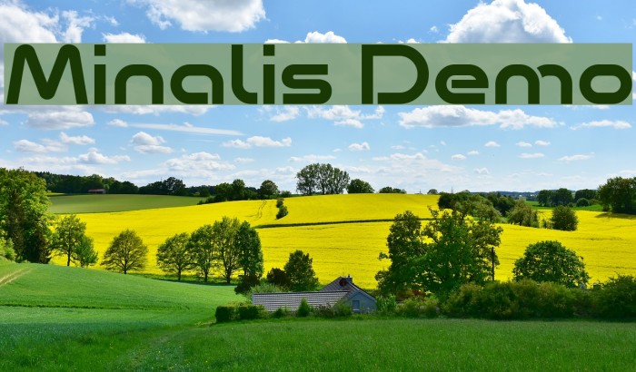 Minalis Demo Example 1