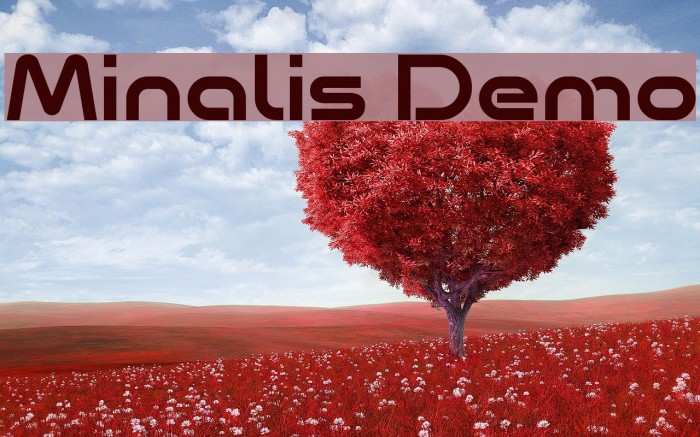 Minalis Demo Example 2