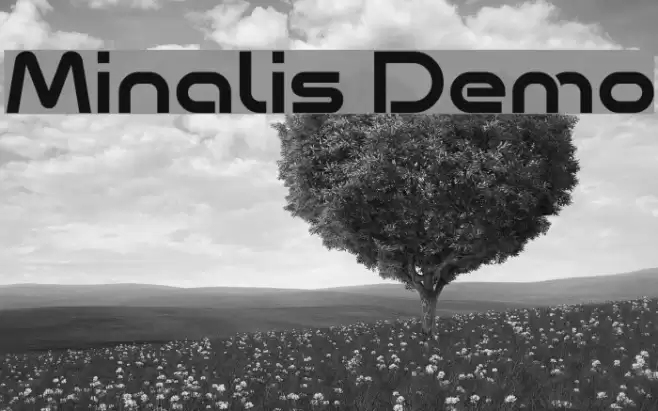 Minalis Demo Font examples
