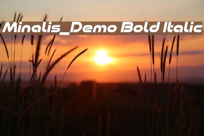 Minalis_Demo Bold Italic Font examples