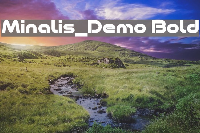 Minalis_Demo Bold Example 1