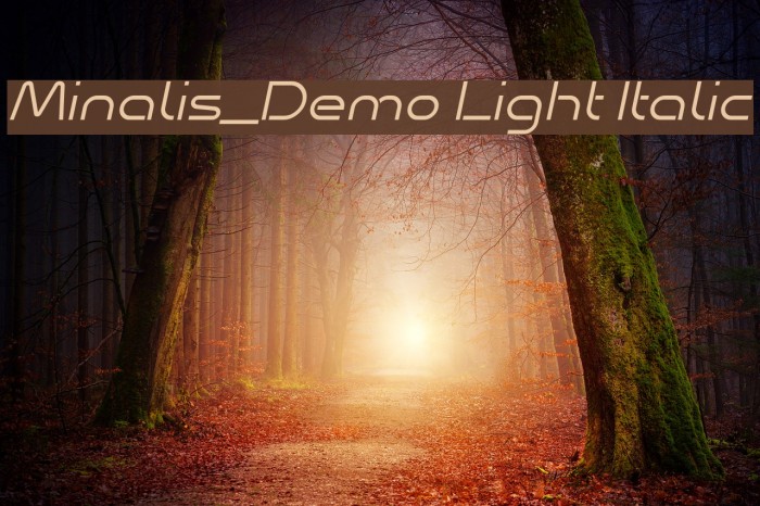 Minalis_Demo Light Italic Example 3