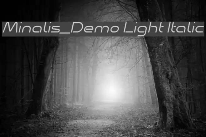 Minalis_Demo Light Italic Font examples
