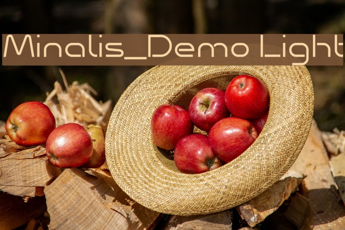 Minalis_Demo Light Font examples