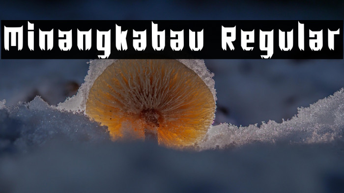 Minangkabau Regular Example 3