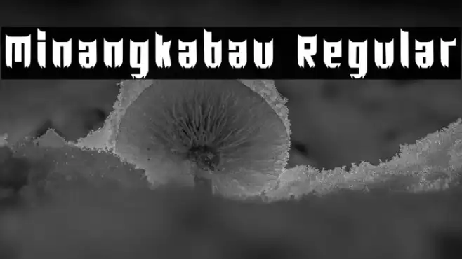 Minangkabau Regular Example 3